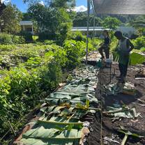 Permaculture at School