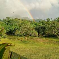 Rainbow