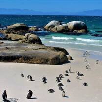 South Africa Volunteering