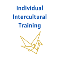 Pre-travel individual intercultural training