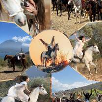 Horse Tribe Flyer 