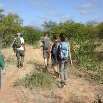 Into the bush