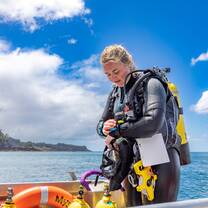 Scuba Diving in the Coromandel 