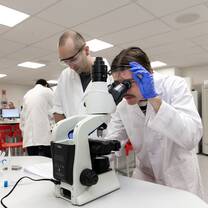 Marine Science at Tauranga campus 