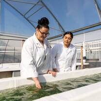 Aquaculture at Tauranga Campus 