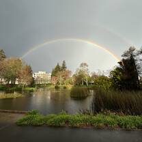 Rainbow over University of Waikato, Hamilton campus