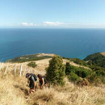 Raglan Hike 