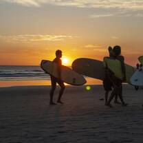 surf