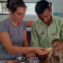 Hands-on care. Interns support wildlife rescue and rehabilitation efforts in India.
