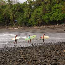 surf