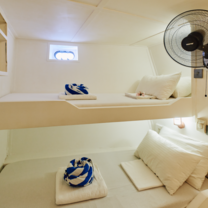 Horizon 2 Snorkeling Cruises