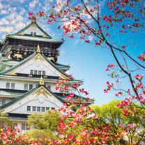 TEFL Course in Japan
