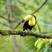 TEFL Course in Costa Rica