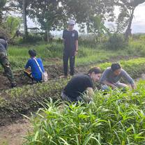 Our volunteers working on our regenerative farming project
