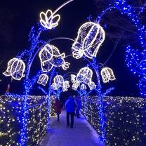 TEFL in Poland