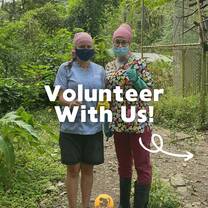 Two volunteers surrounded by jungle and enclosures in our pre-release area giving a thumbs-up 