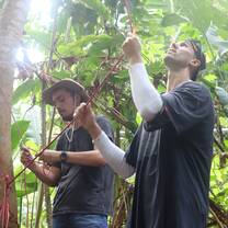 Two volunteers holding rope to create a bridge for monkeys to use to be released back into the wild