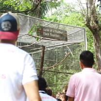 Volunteers gaze at the scarlet macaw nursery and the sign on the side says 'birds of a feather flock together'