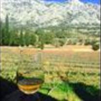 A glass of wine overlooking the mountains