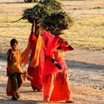 Study Abroad in India with IFSA-Butler