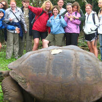 ISV Volunteers working with turtles in Ecuador