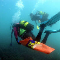 Marine conservation with Volunteering Solutions
