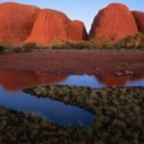 WISE Abroad Australia