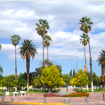 Study abroad in Mendoza, Argentina with API