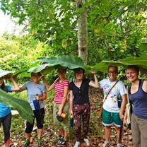 Volunteers learning about local farming practices on a community farm visit 