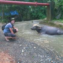 Volunteer in Vietnam organic farming