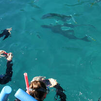 Pacific Discovery Southeast Asia Gap Year Semester through Thailand, Vietnam, Cambodia, Laos