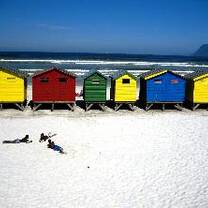 Projects Abroad Volunteer Program in South Africa