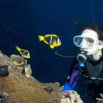 Broadreach Shark Studies Program in Fiji