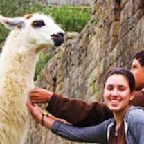hanging with llamas
