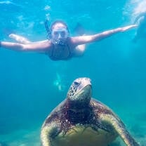 Snorkeling with turtles in Australia