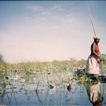 fisherman
