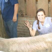 Vida conservation volunteers