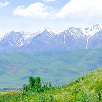 Study Abroad with AUCA-Bard