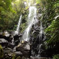 Lamington National Park -Photo copyright Katherine Pearsol