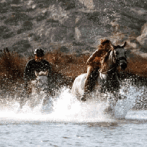 Horseback riding through water in Greece