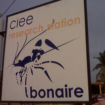 Study Abroad in Bonaire with CIEE