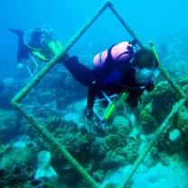 CIEE Student Scuba Diving in Bonaire