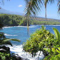 Study Abroad in Honolulu, Hawaii