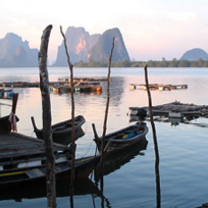 CIS Abroad Semester in Thailand - Mahidol University