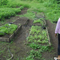 Conservation Volunteer Program in the Galapagos Islands