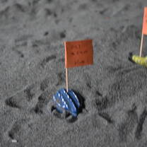 At the turtle station