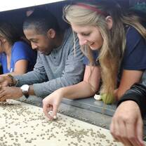 Spanish immersion in Costa Rica