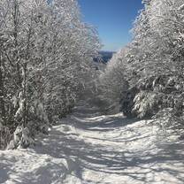 Bluebird Day, Mont Tremblant 