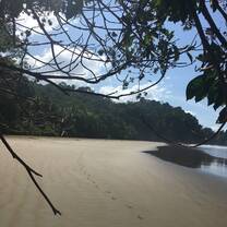 Playa Arco, Costa Rica- Walking Tree Travel
