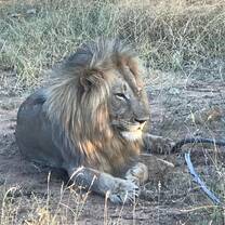  My life-changing trip with Discover Corps to South Africa!